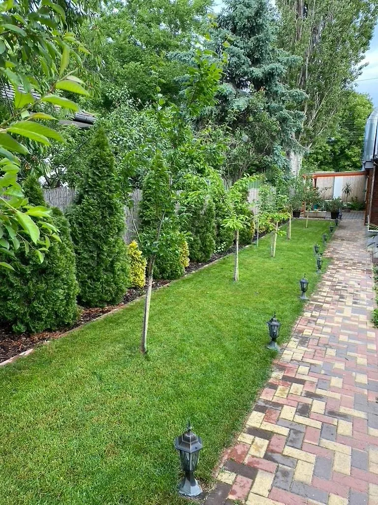 Zsuzsa House Apartment Budapest Magyarország